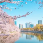 Osaka: 1-Day Private Customizable Trip by Car - Practical Details & Value