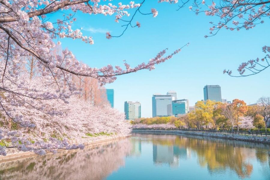 Osaka: 1-Day Private Customizable Trip by Car - Practical Details & Value