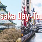 Osaka: 10-hour Customizable Tour with Private Car - What the Experience Includes