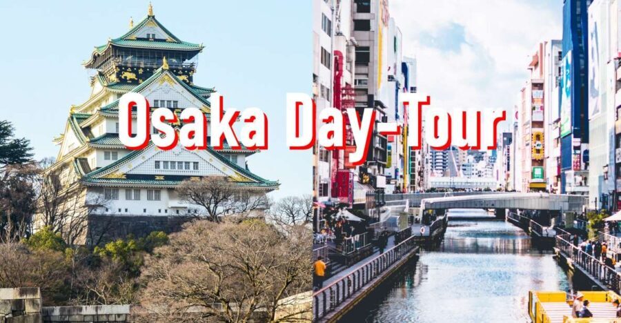 Osaka: 10-hour Customizable Tour with Private Car - What the Experience Includes