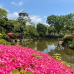 Osaka: City Highlights Bike Tour - Who Is This Tour Best For?