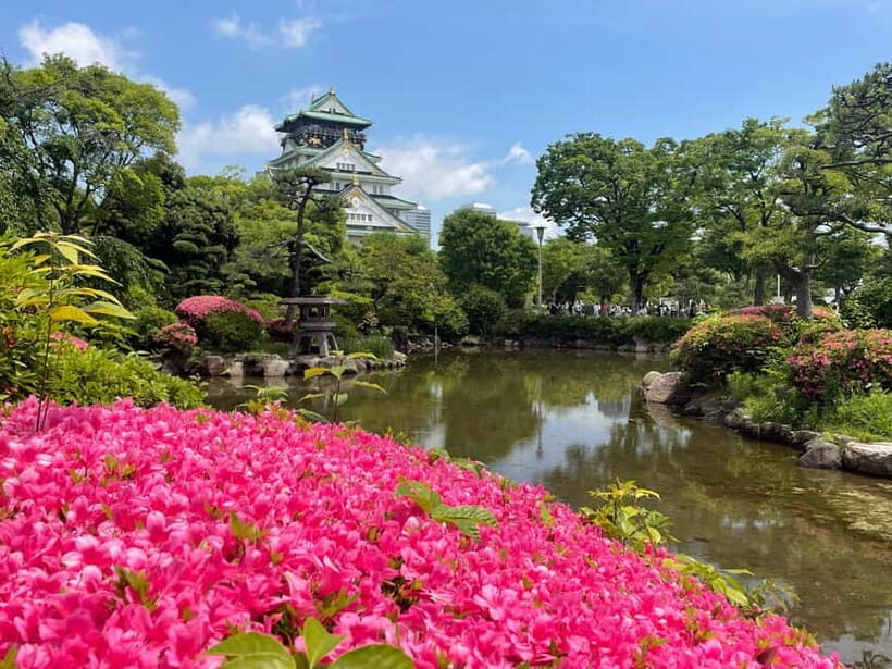 Osaka: City Highlights Bike Tour - Who Is This Tour Best For?