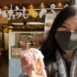 Osaka: Full-Day City Tour with a Guide and Public Transport - Authentic Experiences and Local Insights