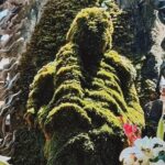 Osaka Highlight Tour: 3-Hour Walking Tour of Osaka - Why This Tour Is Worth It