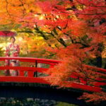Osaka: Kyoto Autumn Minoh Falls, Arashiyama, Kinkakuji & etc - Who Will Love This Tour?