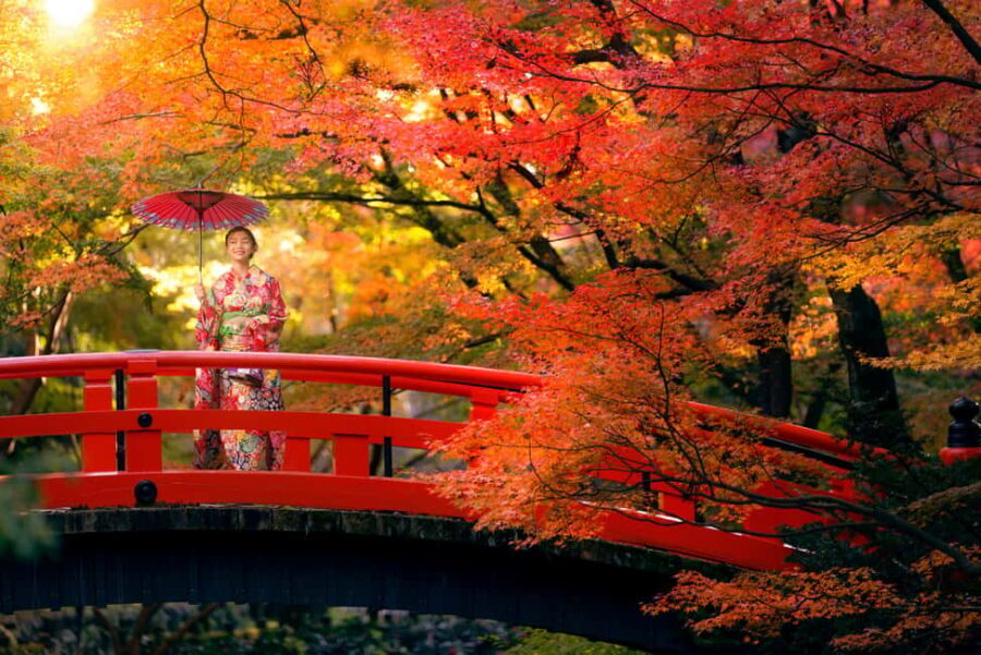 Osaka: Kyoto Autumn Minoh Falls, Arashiyama, Kinkakuji & etc - Who Will Love This Tour?