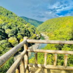 Osaka & Nara: Private Tour with English speaking guide - The Value of This Tour