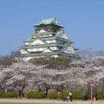 Osaka: Private Customizable Day Tour with Hotel Transfer - Pricing and Value