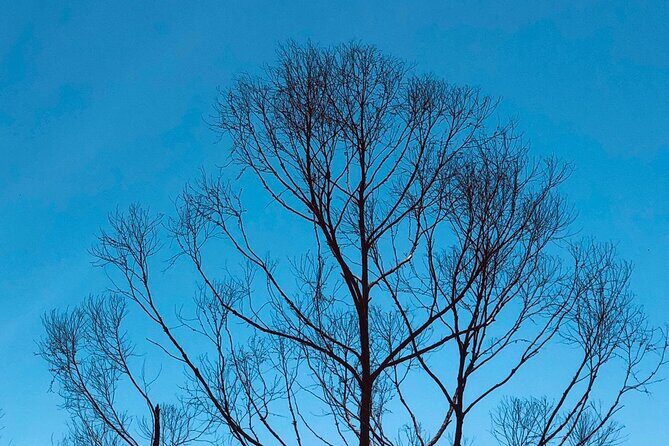 Outdoor and Sightseeing Tour in Ella with Lunch - The Sum Up: Is This Tour Worth It?