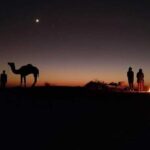 Overnight Camel Safari - Transportation, Pricing, and Practicalities