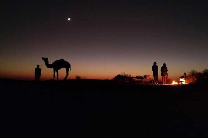 Overnight Camel Safari - Transportation, Pricing, and Practicalities