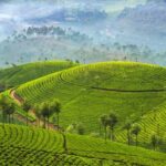 Overnight Munnar Hill Station Tour with Kerala Beauty - Transportation and Group Size