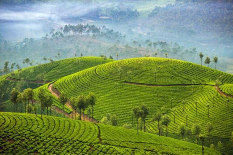 Overnight Munnar Hill Station Tour with Kerala Beauty - Transportation and Group Size