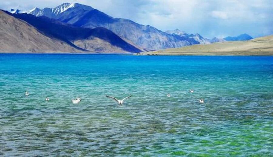Overnight Pangong Tour From Leh With Thiksey & Shey Palace - Transportation, Timing, and Value