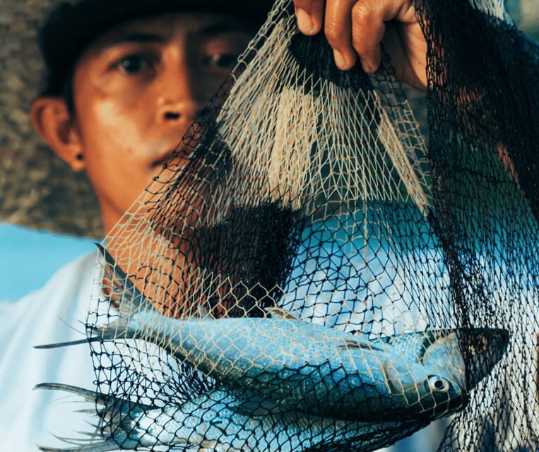 PALAWAN: El Nido Fishing Tour with Local Fishermen PRIVATE - What Travelers Can Expect: Pros and Cons