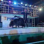 Panaji: Dinner Cruise with Drinks and Live Entertainment - What’s Included and What’s Not