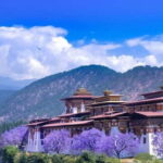 Paro: Culture and Nature 4-Day Guided Tour - What’s Included and What’s Not