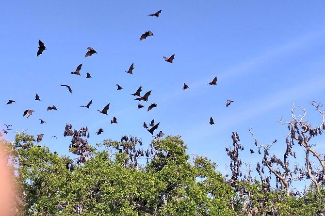 Pauls Flores Tour Labuan Bajo to Ende Flores Land Tour inland by Car 6 Days - Who Is This Tour Best For?