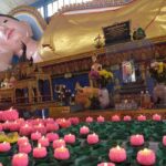 Penang: George Town Highlights & Upside Down Museum Tour - What Travelers Can Expect