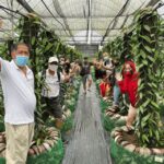 Penang: The Vanilla Village Farm Tour by Kairos - Practical Information: What You Need to Know