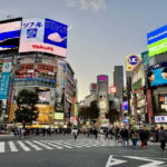 Perfect Start for your Japan Trip - Private Tour in Tokyo - Practical Tips and Considerations