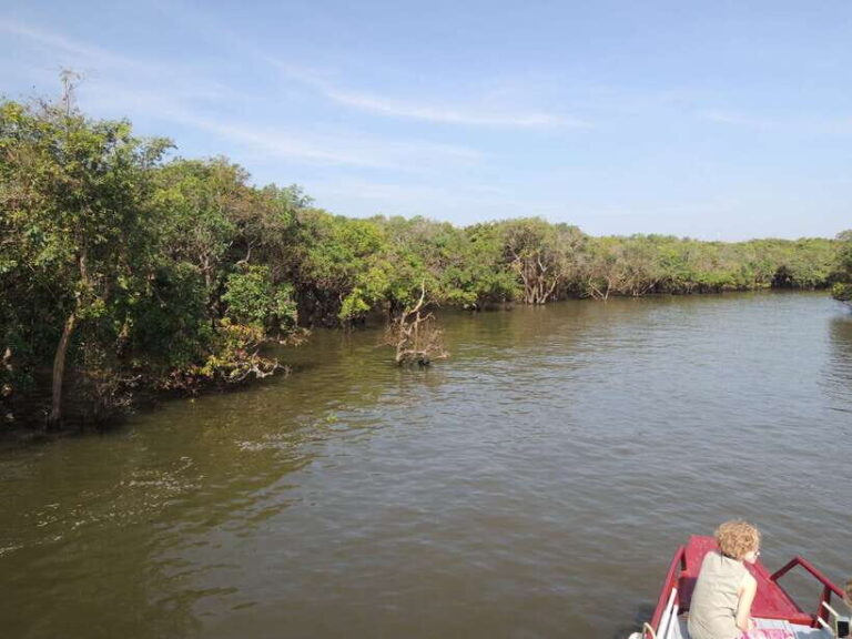 Phnom Penh to Siem Reap cruise/land tour (one way) - Exploring the Itinerary: What to Expect on Your Day