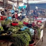 Phnom Penhs Hands-On Khmer Cooking Class in the Countryside - An In-Depth Look at the Countryside Cooking Adventure