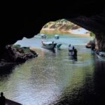 Phong Nha & Paradise Cave - 1 Day All Inclusive - Authentic Insights from Reviewers