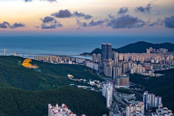 [Photography Tour] Busan Night Tour (Max. 7 Pax) - Songdo Skywalk – Walking Above the Sea