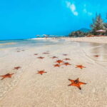 Phu Quoc: 3-Day 2 Night with Boat Tour - What’s Included and What to Consider