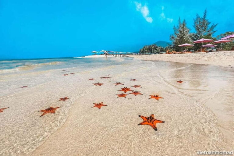 Phu Quoc: 3-Day 2 Night with Boat Tour - What’s Included and What to Consider