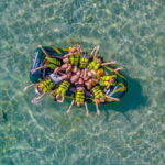 Phu Quoc: Cable Car Ride and 3 Islands Boat Tour with Lunch - What Travelers Love About This Tour