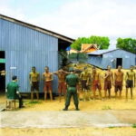 Phu Quoc: Cable Car Ride, Water Park & Southern Highlights - A Day in Phu Quoc: What to Expect