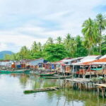 Phu Quoc : Northern Island Tour with Kayaking and Lunch - Who Will Love This Tour?