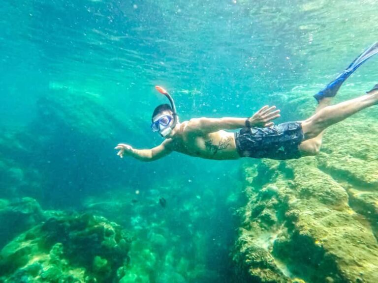 Phu Quoc: Snorkeling discover Southern, Northern Coral Reefs - Journey Through the Coral Reefs: What to Expect