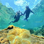 Phu Quoc Speedboat Pro Snorkeling: 4 Islands-2 Reefs & Meal - Pricing and Value