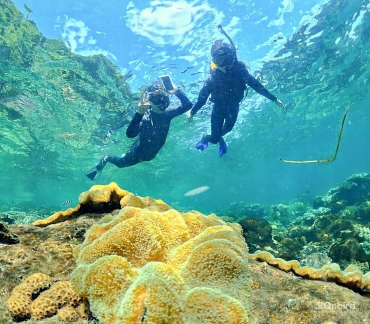 Phu Quoc Speedboat Pro Snorkeling: 4 Islands-2 Reefs & Meal - Pricing and Value