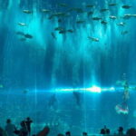 Phu Quoc VinWonders Theme Park And Safari Wildlife Tour - Exploring VinWonders Phu Quoc: More Than Just Rides