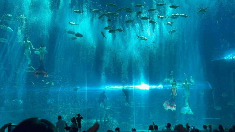 Phu Quoc VinWonders Theme Park And Safari Wildlife Tour - Exploring VinWonders Phu Quoc: More Than Just Rides