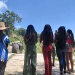 Phuket: Eco Guided Tour at Elephant Sanctuary - What to Expect from the Tour