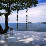 Phuket: Rock Beach Swing Entry Ticket - Unique Photo Spots and Creative Vantage Points