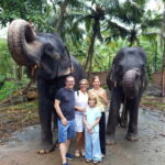 Pinnawala & Kandy Day Tour from Colombo or Negombo - Authentic Experiences and Practical Tips