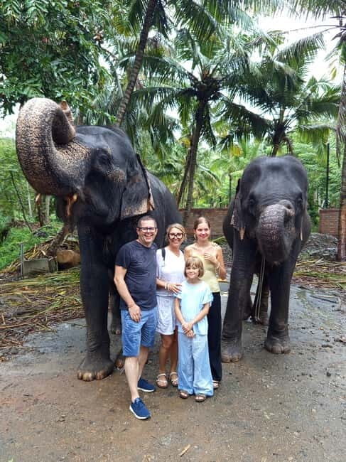 Pinnawala & Kandy Day Tour from Colombo or Negombo - Authentic Experiences and Practical Tips