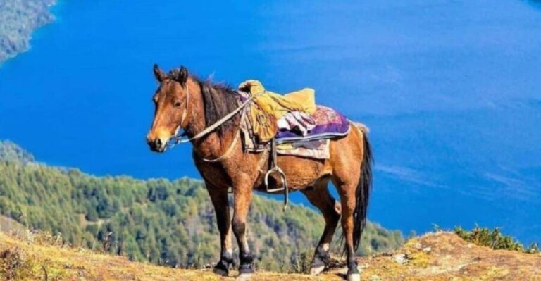 Pokhara: 1-Hour Horseback Ride with Hotel Pickup - An In-Depth Look at the Pokhara Horseback Ride