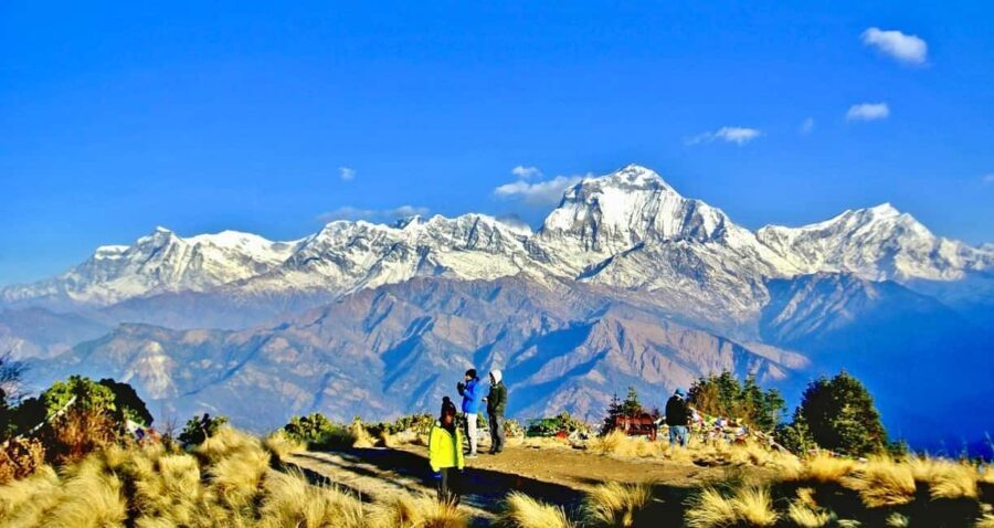 Pokhara: 3-Day Poon Hill Trek with Guide & Transfers - The Overall Experience