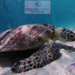 PORT BARTON: Full-day Shared Island Hopping Tour A - Authentic Experiences and Review Insights