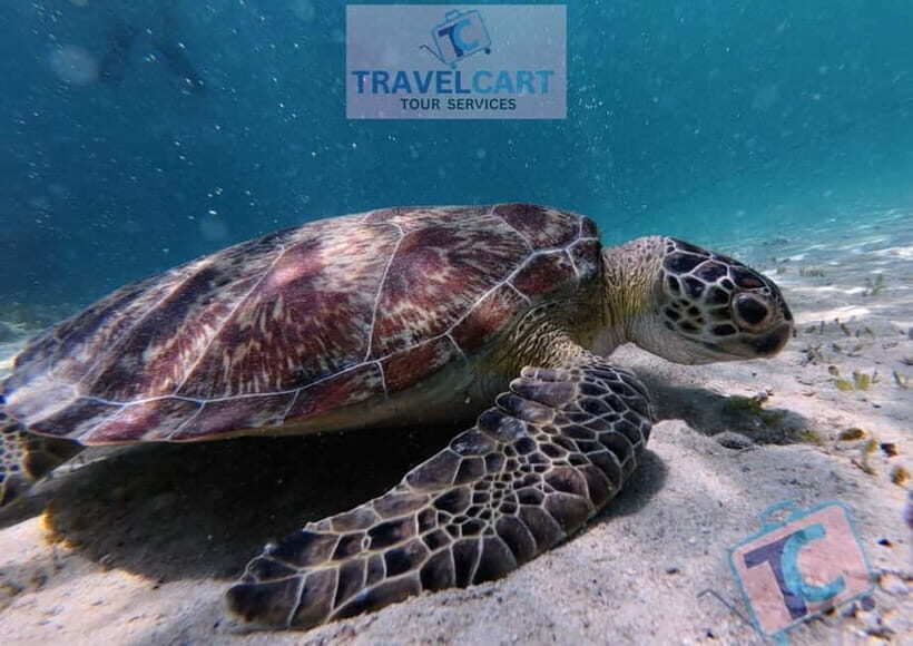 PORT BARTON: Full-day Shared Island Hopping Tour A - Authentic Experiences and Review Insights