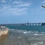 Private 2 Day Tour of Dalian City - What to Expect from the Experience