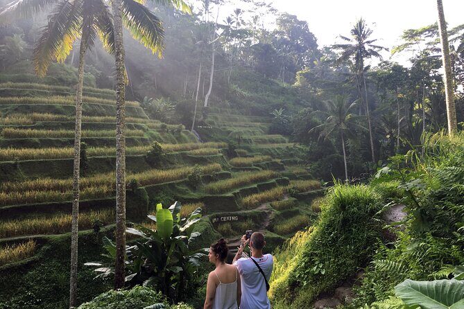 Private Bali Custom Tour Full Day with English-Speaking Driver - A Deep Dive into the Experience