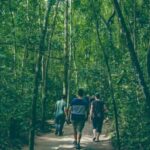 Private Chu Chi VIP Tour By Car ( 6 hours ) - Exploring the Itinerary